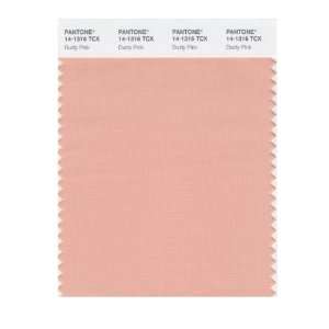   PANTONE SMART 14 1316X Color Swatch Card, Dusty Pink: Home Improvement