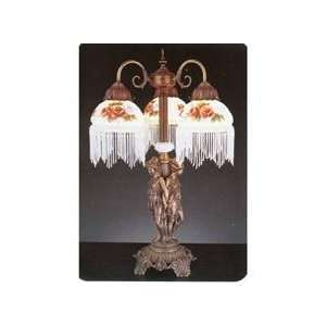  Meyda 27085 Graces Fringed Globe Table Lamp: Home 