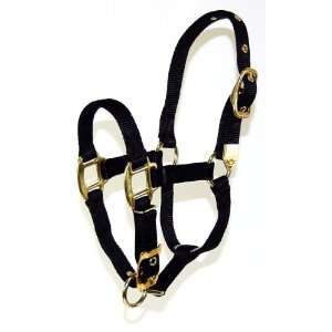   Arabian Horse Halter for 500 to 800 Pound Horse, Black: Pet Supplies