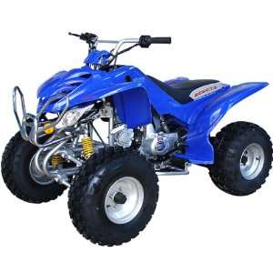  110cc Full Size ATV With Automatic Transmission 