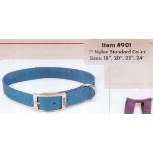  Nylon Single Collar Neon Pink 1X22: Pet Supplies