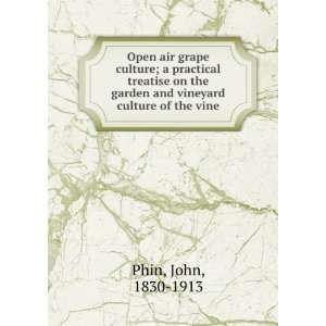  Open air grape culture  a practical treatise on the 