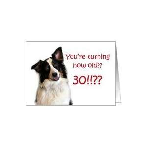 Dog Years, Birthday 30 Years Old Card: Toys & Games