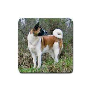 Akita Rubber Square Coaster (4 pack) 