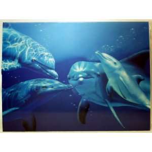  3D Lenticular Stereoscopic Print Paint Picture Dolphins 
