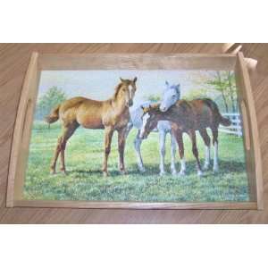   Glass Serving Tray with Oak Frame   Horses   Yearlings