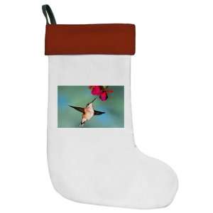    Christmas Stocking Black Chinned Hummingbird: Everything Else