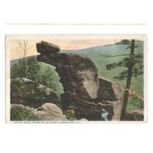  Vintage Postcard Sphinx Rock Haines Falls Catskill Mts NY 