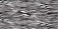 Zebra Print Pattern 12 x 24 Vinyl for Crafts Cricut cutters  