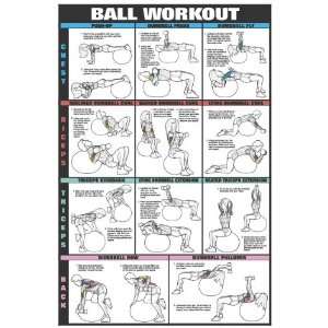    Swiss Ball Workout I Fitness Chart (Co Ed)