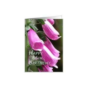  66th Birthday Flowers Card Toys & Games