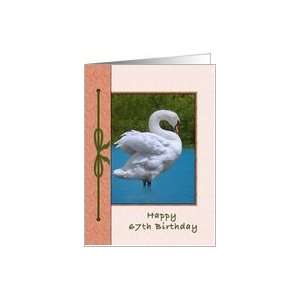  67th Birthday, Mute Swan Bird Card Toys & Games