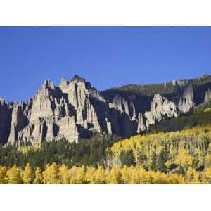 Aspens in Fall Colors with Mountains and Evergreens, Colorado, USA 
