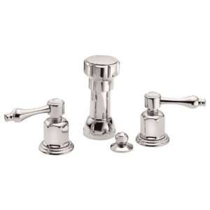   3604 Bidet Set with Bowl Spritzer Rim Wash and Pop Up Drain Pewter