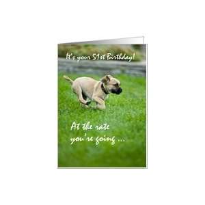  51st Birthday, Puppy Running, Funny Card: Toys & Games