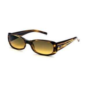   Madison Sunglasses   Brown Stripe   Brown Gradient: Sports & Outdoors