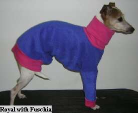 ANY SOLID COLOR ITALIAN GREYHOUND PJ CUFFED SWEATER  