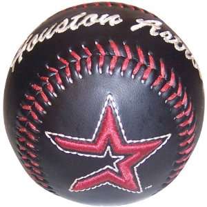 Houston Astros Embroidered Logo Baseball  Sports 