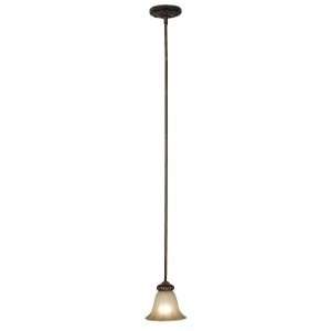  Rochester One Light Mini Pendant Lamp: Home Improvement