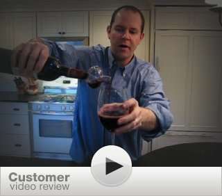  Soiree bottle top Wine Decanter & Aerator: Kitchen 
