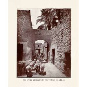 1927 Halftone Print Oasis Street Algeria Africa Goat Flock Donkey Arab 