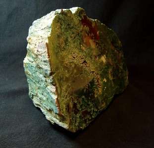   Fossil Wood Display Specimen Dark Green Hampton Butte, OR WoW  