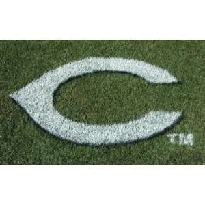  MLB Cincinnati Reds Lawn Logo: Sports & Outdoors