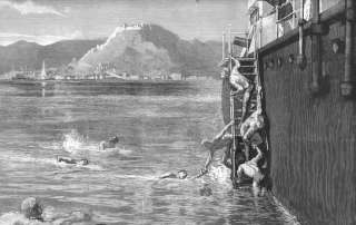 Spain MALAGA. Swimming. Shark attack. Old Print.1891  