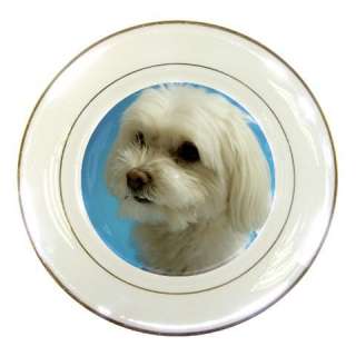 MALTESE TERRIER DOG PUPPIES PORCELAIN CHINA WARE PLATE  