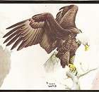 Glen Loates Bald Eagle tree bird wallpaper border