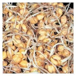  Chickpea Sprouting Seeds   50 grams   Mild Flavor Patio 