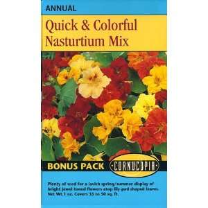  Quick & Colorful Nasturtium Mix Jewel Mixed Colors   Large 