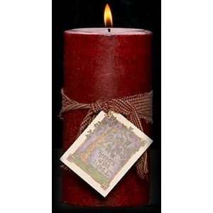   PS36 08 3 in. x 6 in. Juicy Apple Candle