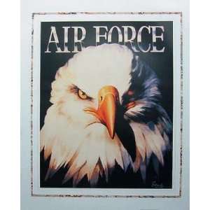  Air Force    Print: Home & Kitchen