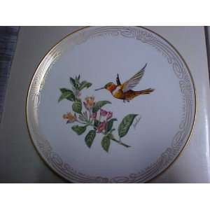  Rufous Flame Bearer Hummingbird Collector Plate 