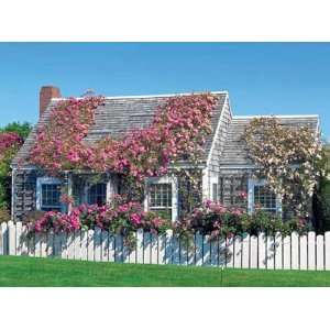  White Mountain Puzzles Rose Covered Cottage: Toys & Games