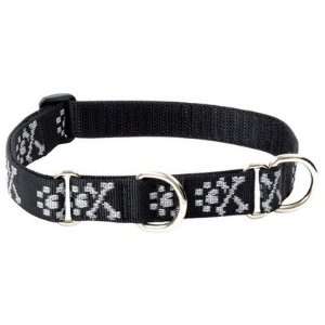 : Lupine WLF72255/56 Bling Bonz 1 Adjustable Large Dog Combo Collar 