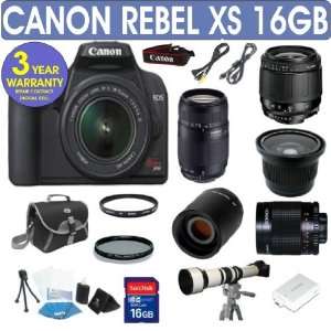 : Canon Rebel XS + Canon 18 55mm IS Lens + Tamron 75 300mm Zoom Lens 