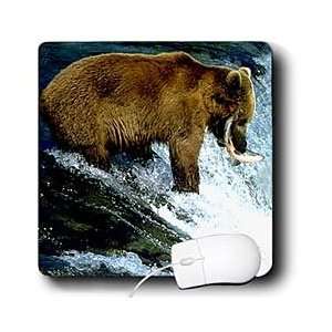  Wild animals   Brown Bear Fishing   Mouse Pads 