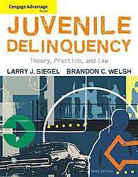 Juvenile Delinquency Theory, Practice, and Law by Brandon C. Welsh and 