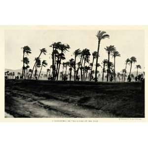  1922 Print Sand Storm Banks Nile River Egypt Elmendorf 