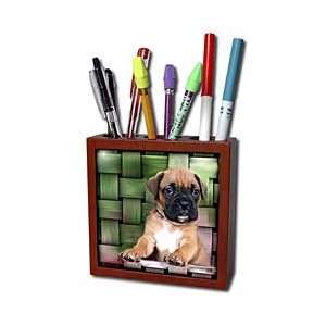  Dogs Boxer   Brindle Boxer Puppy   Tile Pen Holders 5 inch 