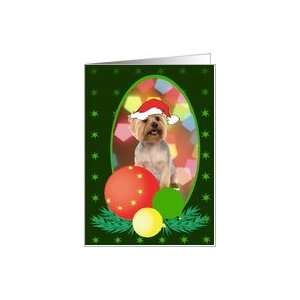 Silky Terrier Dog Christmas Card