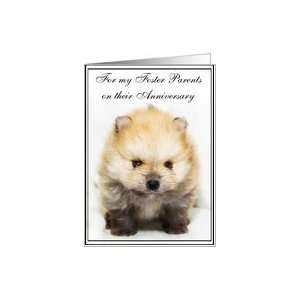  Happy Anniversary Foster Parents Pomeranian puppy Card 