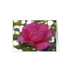 Pink Camellia Happy Birthday Card