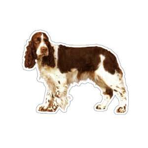  ENGLISH SPRINGER SPANIEL   Dog Decal   sticker dogs got 