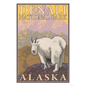  Mountain Goat, Denali National Park, Alaska Giclee Poster 