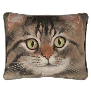  Kitty Face Pillow