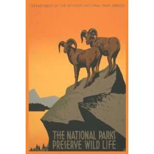   NATIONAL PARKS PRESERVE WILD LIFE AMERICAN US USA VINTAGE POSTER REPRO