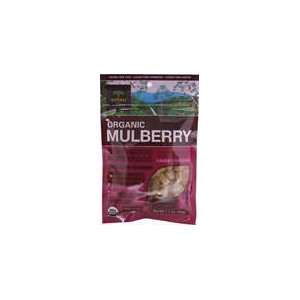 Organic Mulberry Superfood 1.7 oz Bag  Grocery & Gourmet 
